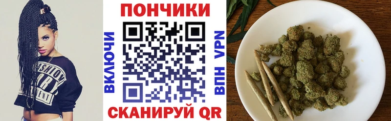Бошки Шишки семена  Цоци-Юрт 